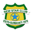 New Star Club Flag