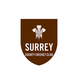 Team logo